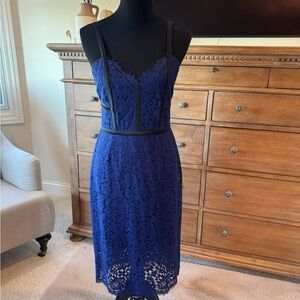 Express Navy Blue Lace Cocktail Dress With Black Satin Straps & Piping